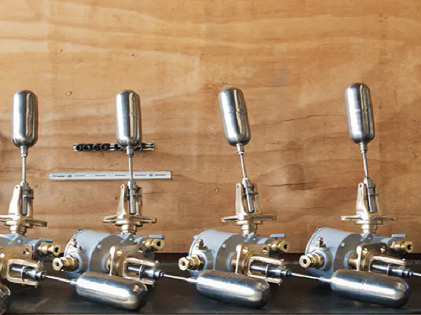 Dez Anos de Tradição